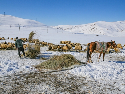 Besiciler kar yağışından memnun