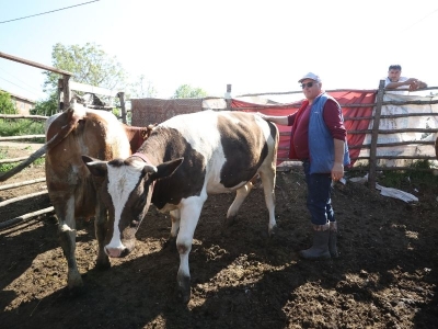Köyündeki yeni hayata ORKÖY projesiyle başladı
