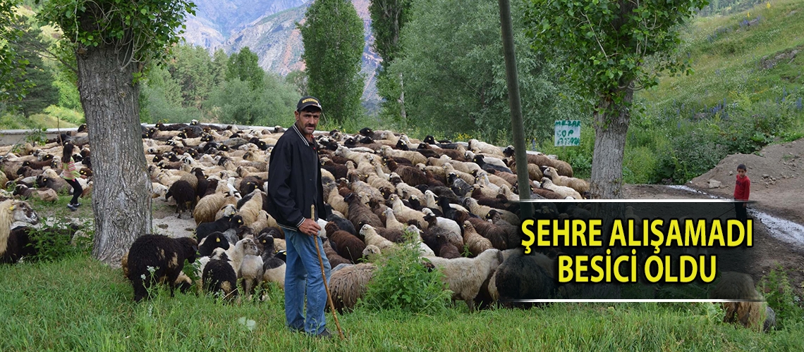 Şehre alışamadı besici oldu