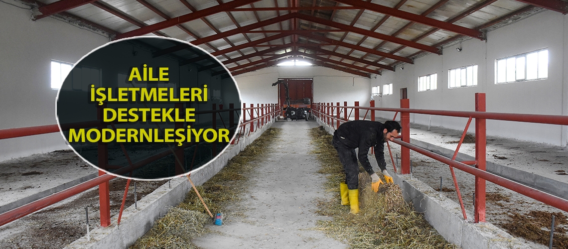 Aile işletmeleri destekle modernleşiyor