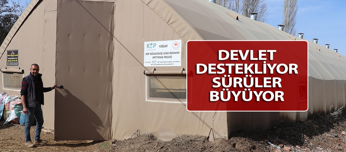 Devlet destekliyor sürüler büyüyor