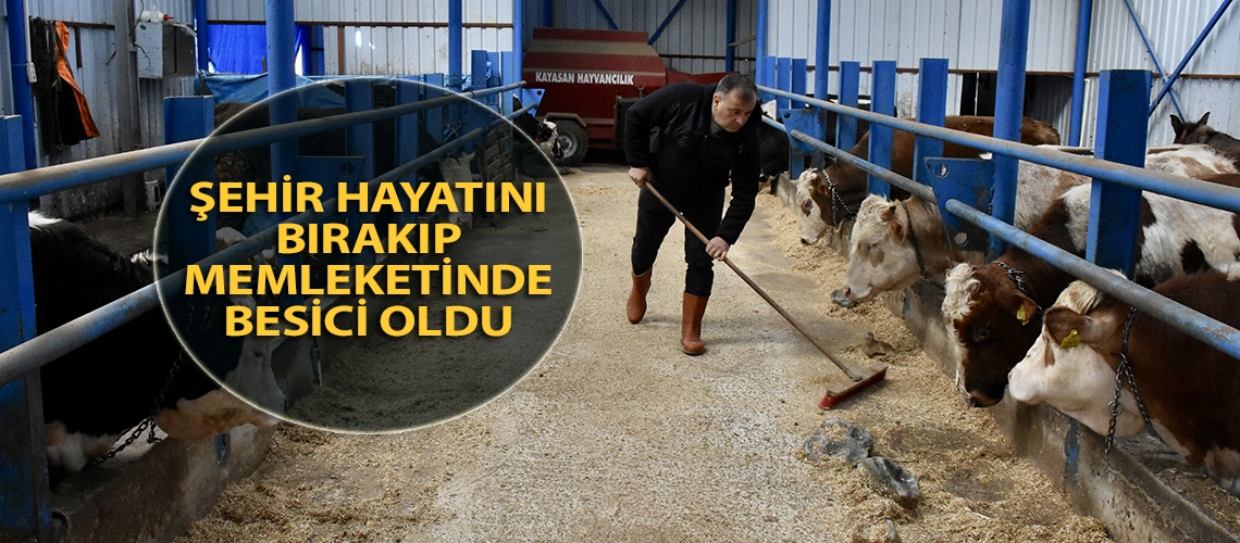 Şehir hayatını bırakıp memleketinde besici oldu