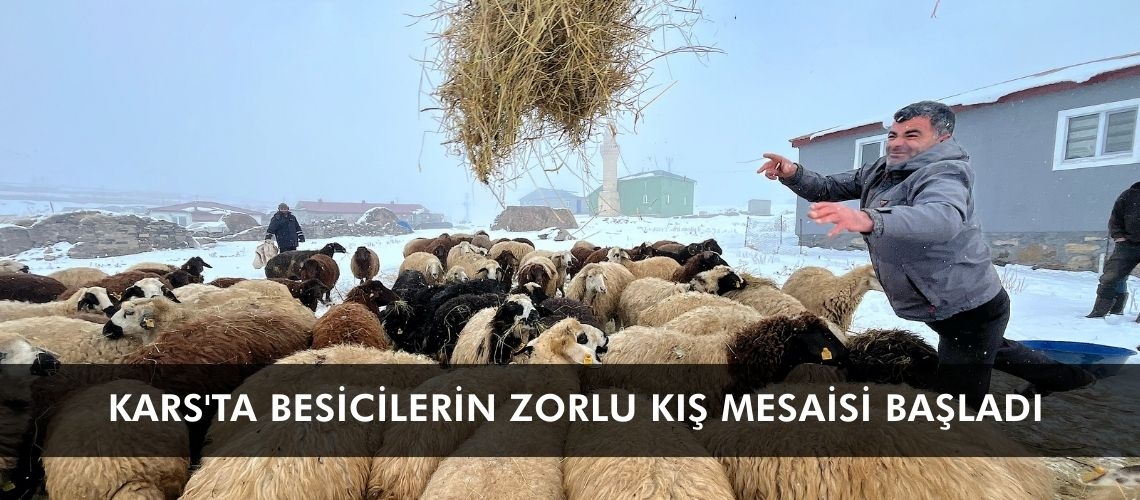Kars'ta besicilerin zorlu kış mesaisi başladı
