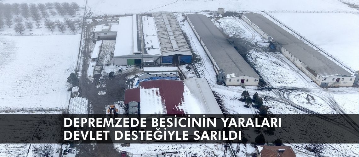 Depremzede besicinin yaraları devlet desteğiyle sarıldı