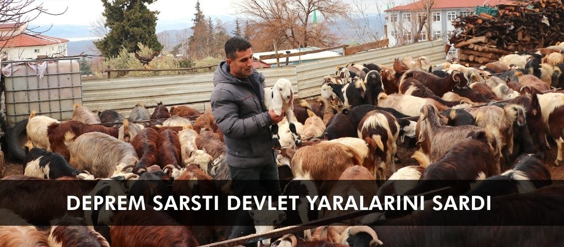 Deprem sarstı devlet yaralarını sardı