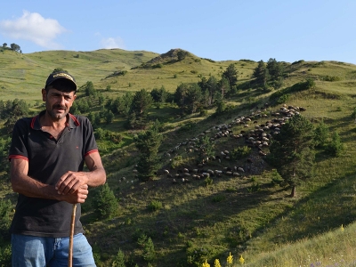 Şehre alışamadı besici oldu