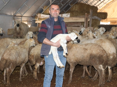 Devlet destekliyor sürüler büyüyor