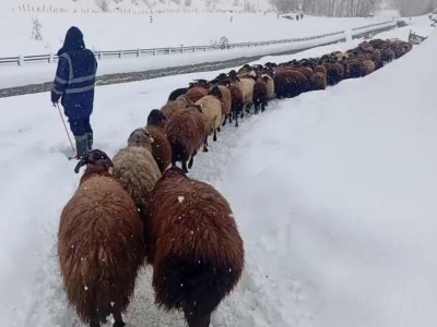 Besicilerin kış mesaisi sürüyor