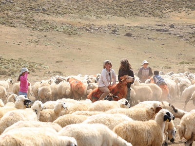 Besicilerin zorlu yolculuğu