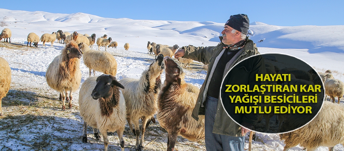 Hayatı zorlaştıran kar yağışı besicileri mutlu ediyor