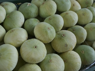 Mersin'de beyaz incir hasadı başladı