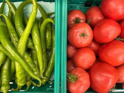 Türkiye'nin biber ihracatının yüzde 71'i Batı Akdeniz'den
