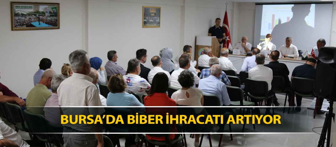 Bursa’da biber ihracatı artıyor