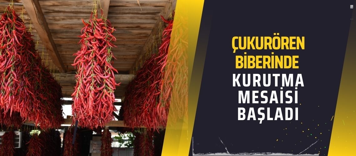 Çukurören biberinde kurutma mesaisi başladı