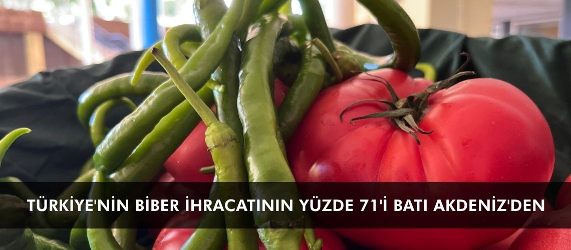 Türkiye'nin biber ihracatının yüzde 71'i Batı Akdeniz'den