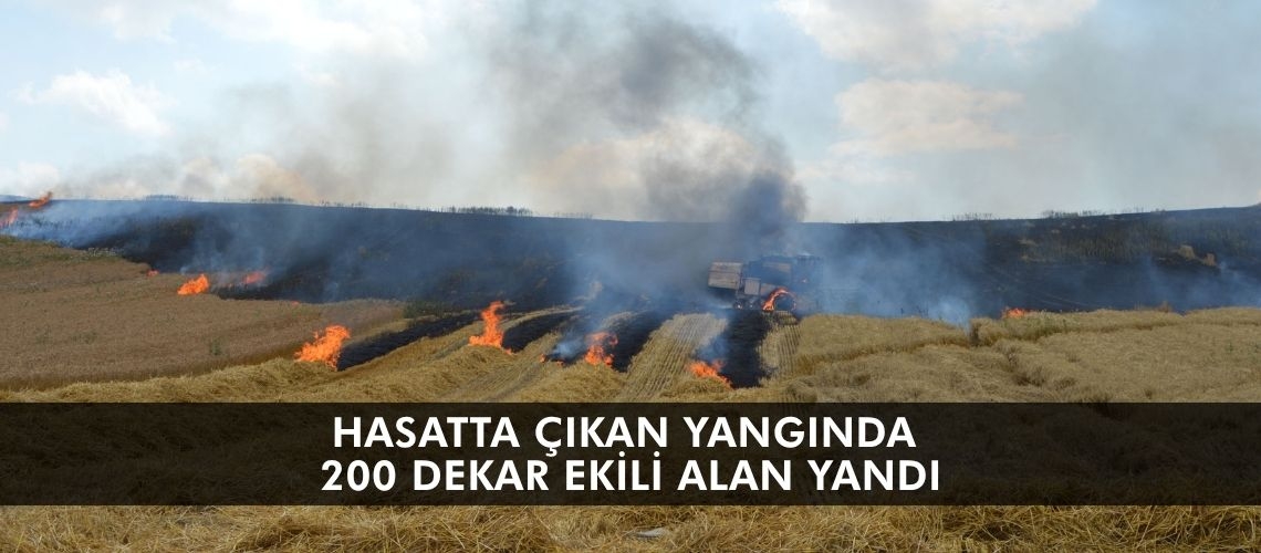 Hasatta çıkan yangında 200 dekar ekili alan yandı