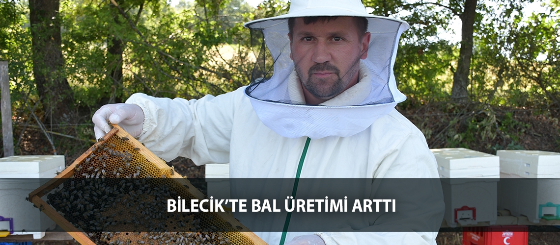 Bilecik’te bal üretimi arttı