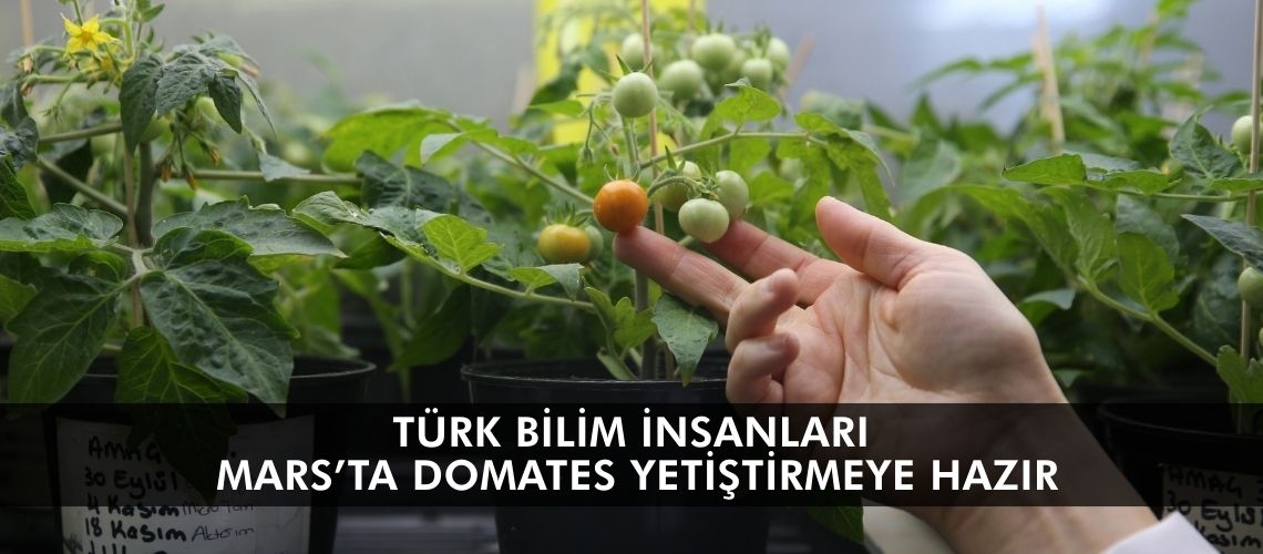 Türk bilim insanları Mars’ta domates yetiştirmeye hazır