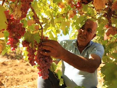Terör bitti, üretim başladı