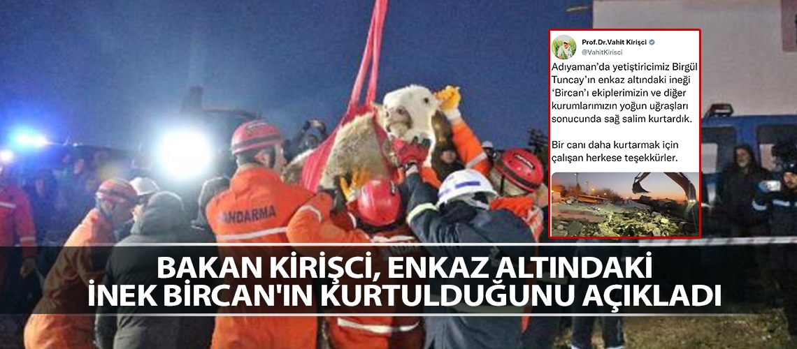 Bakan Kirişci, enkaz altındaki inek Bircan'ın kurtulduğunu açıkladı