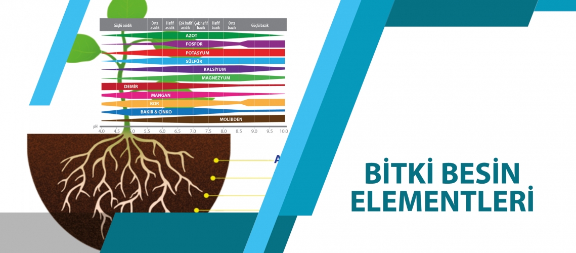 BİTKİ BESİN ELEMENTLERİ
