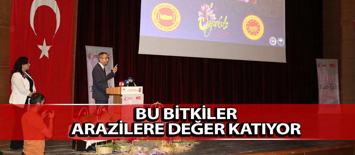 Bu bitkiler arazilere değer katıyor