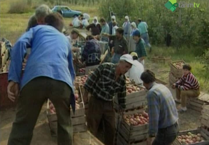 Bitkisel Üretimin Genel Tanımı