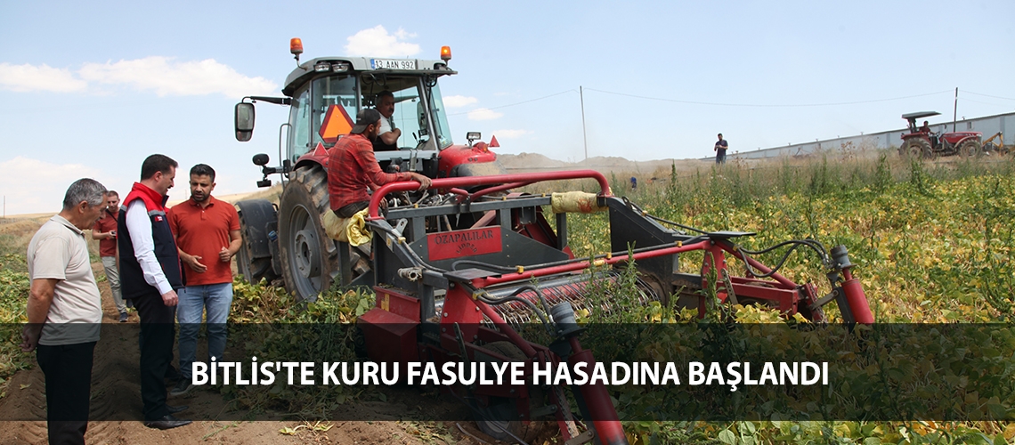 Bitlis'te kuru fasulye hasadına başlandı