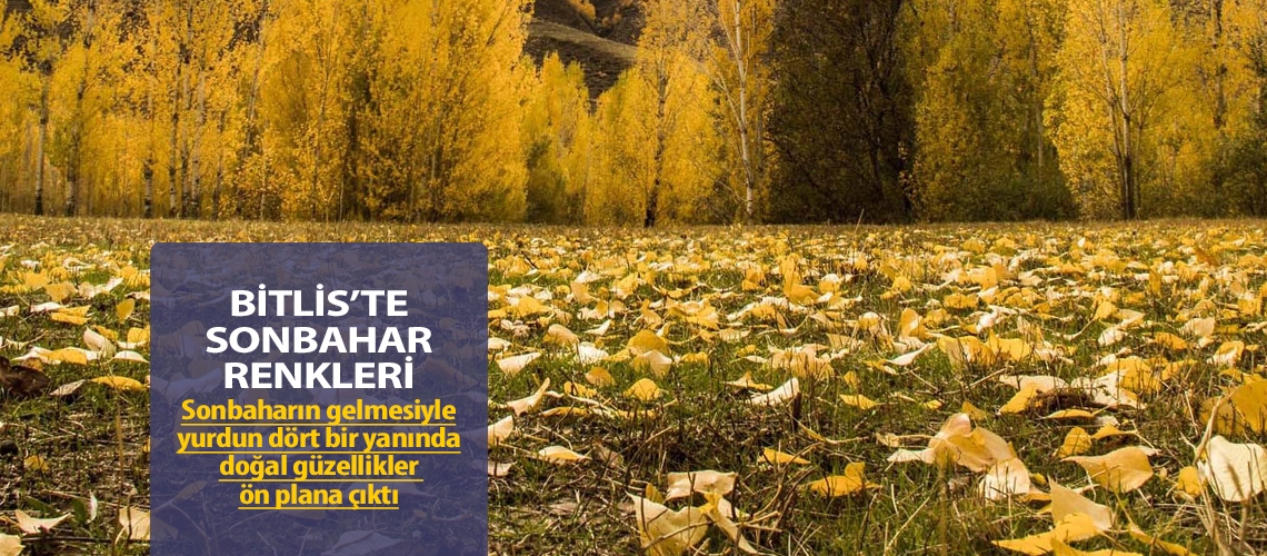Bitlis’te sonbahar renkleri