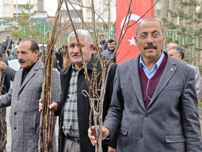 Bitlis'te çiftçilere 12 bin ceviz fidanı teslim edilecek