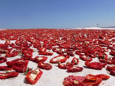 Bitlis’te kuruyor, tüm dünyaya ihraç ediliyor
