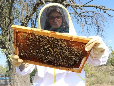 Biyologdu devlet desteği ile arıcı oldu