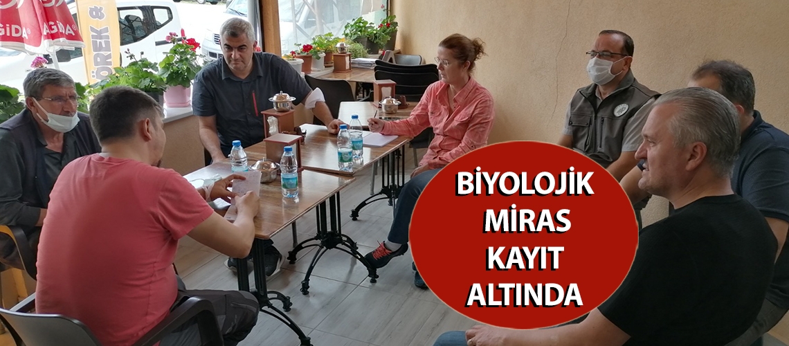 Biyolojik miras kayıt altında