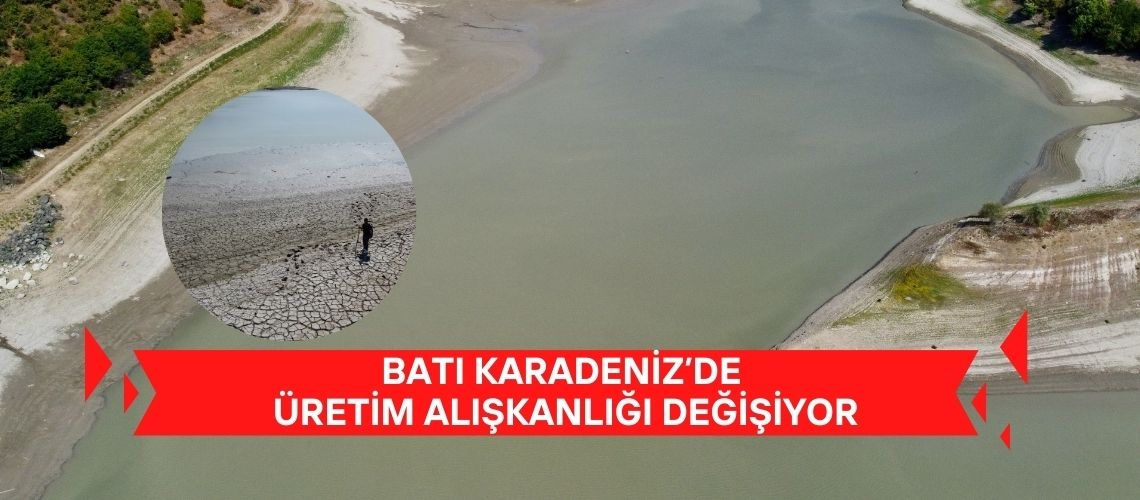 Batı Karadeniz’de üretim alışkanlığı değişiyor