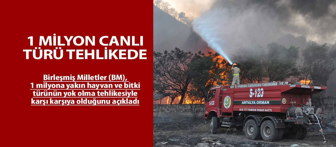 1 milyon canlı türü tehlikede