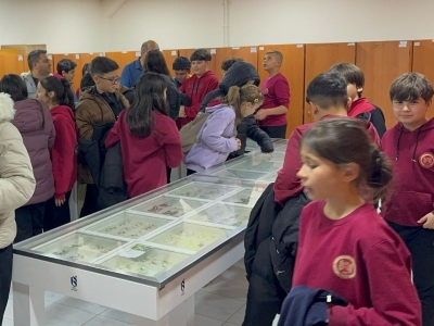 Böcek Müzesi bilim ve doğa farkındalığını artırıyor