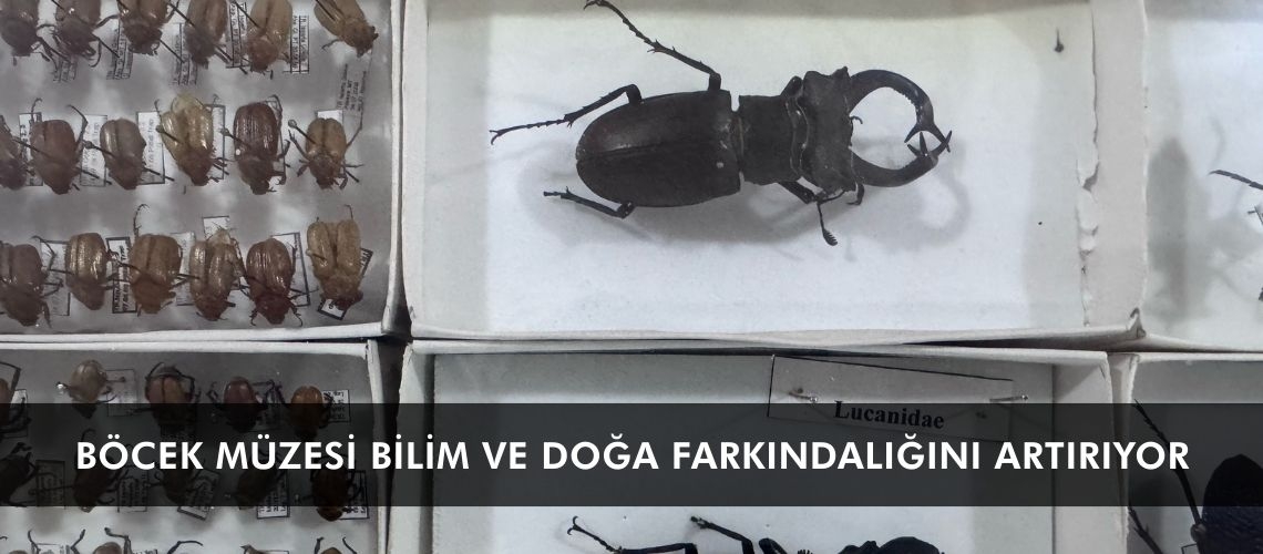 Böcek Müzesi bilim ve doğa farkındalığını artırıyor