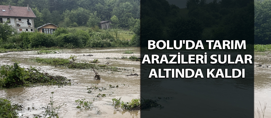 Bolu'da tarım arazileri sular altında kaldı