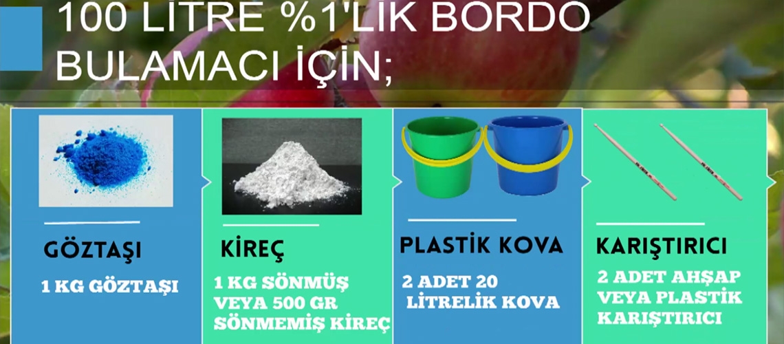 Bordo Bulamacı