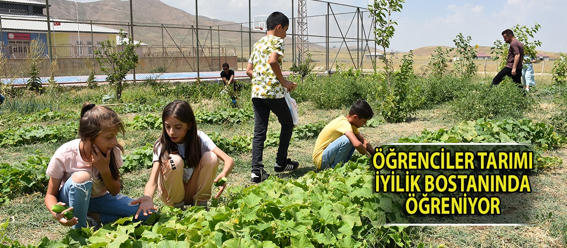 Öğrenciler tarımı iyilik bostanında öğreniyor
