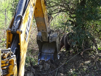 Bartın’da bozayı kurtarma seferberliği