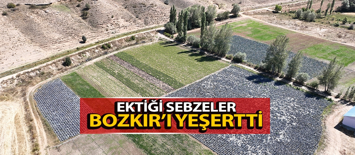 Ektiği sebzeler Bozkır’ı yeşertti
