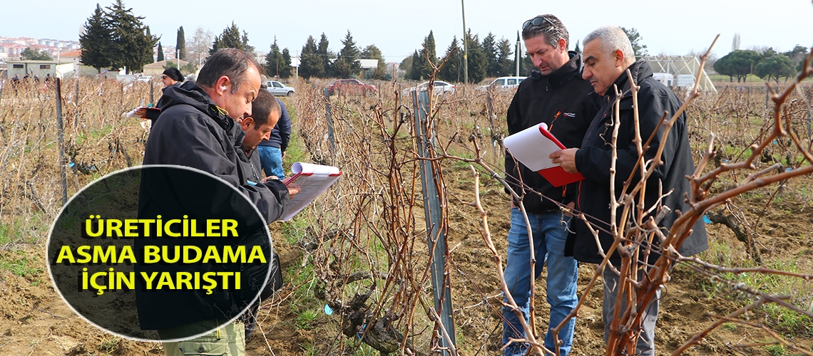 Üreticiler asma budama için yarıştı