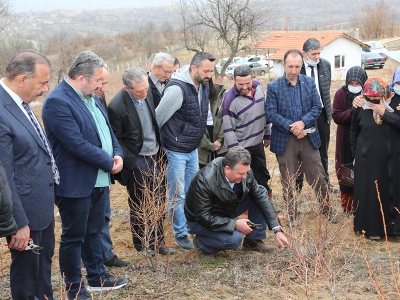 Üreticilere mavi yemiş budama eğitimi verildi