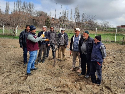 Çankırı’da meyve ağaçlarında budama seferberliği