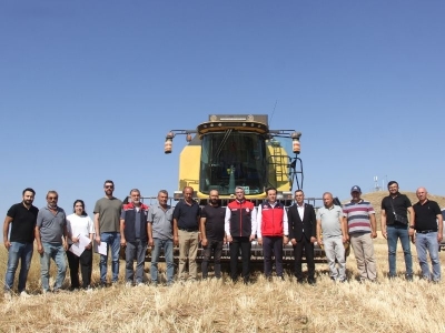 Sivas'ta yeni buğday türleri tanıtılıyor