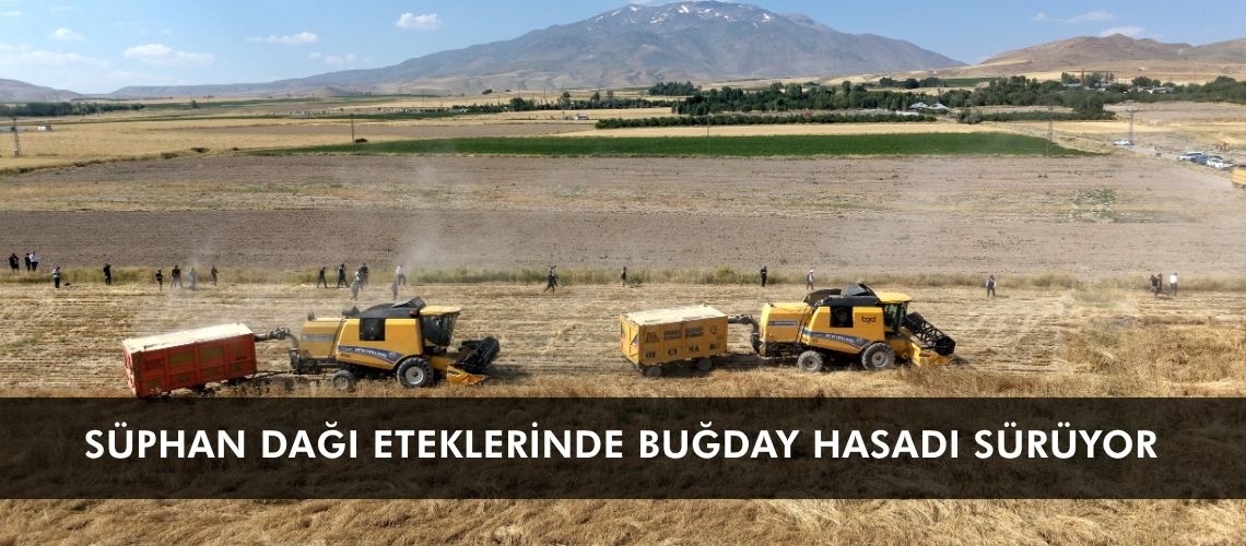 Süphan Dağı eteklerinde buğday hasadı sürüyor