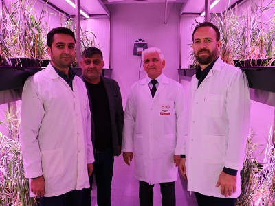 Diyarbakır’dan Türk tarımına büyük katkı