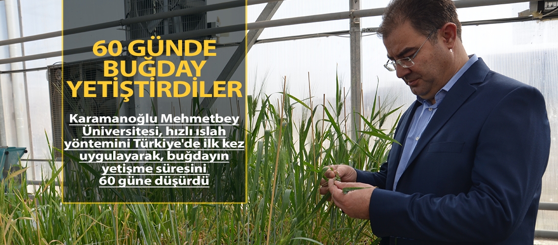 60 günde buğday yetiştirdiler
