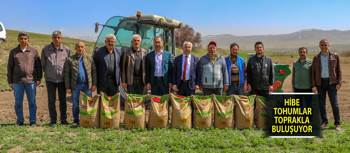 Hibe tohumlar toprakla buluşuyor